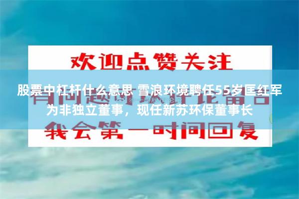 股票中杠杆什么意思 雪浪环境聘任55岁匡红军为非独立董事，现任新苏环保董事长