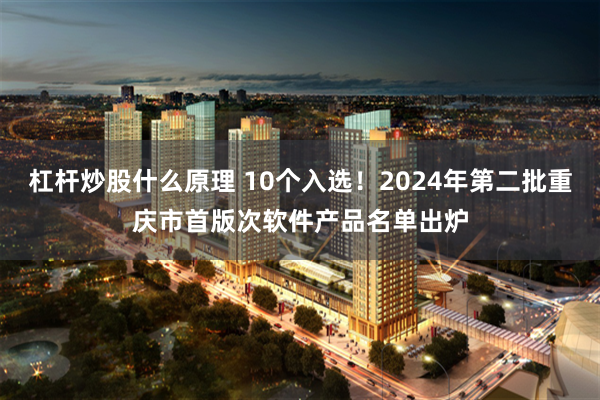 杠杆炒股什么原理 10个入选！2024年第二批重庆市首版次软件产品名单出炉