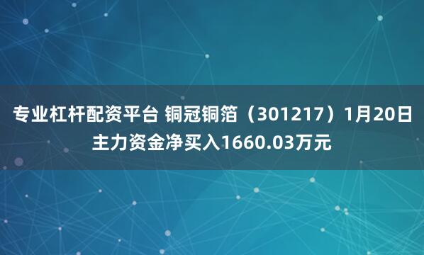 专业杠杆配资平台 铜冠铜箔（301217）1月20日主力资金净买入1660.03万元