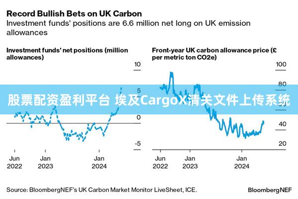 股票配资盈利平台 埃及CargoX清关文件上传系统