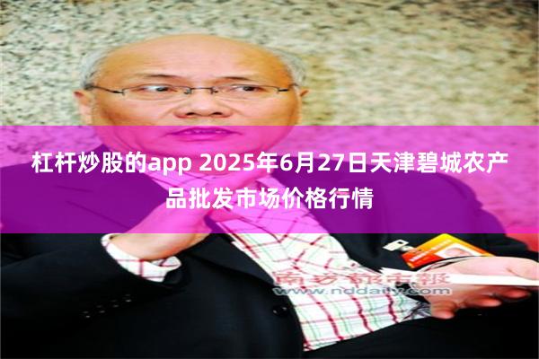 杠杆炒股的app 2025年6月27日天津碧城农产品批发市场价格行情